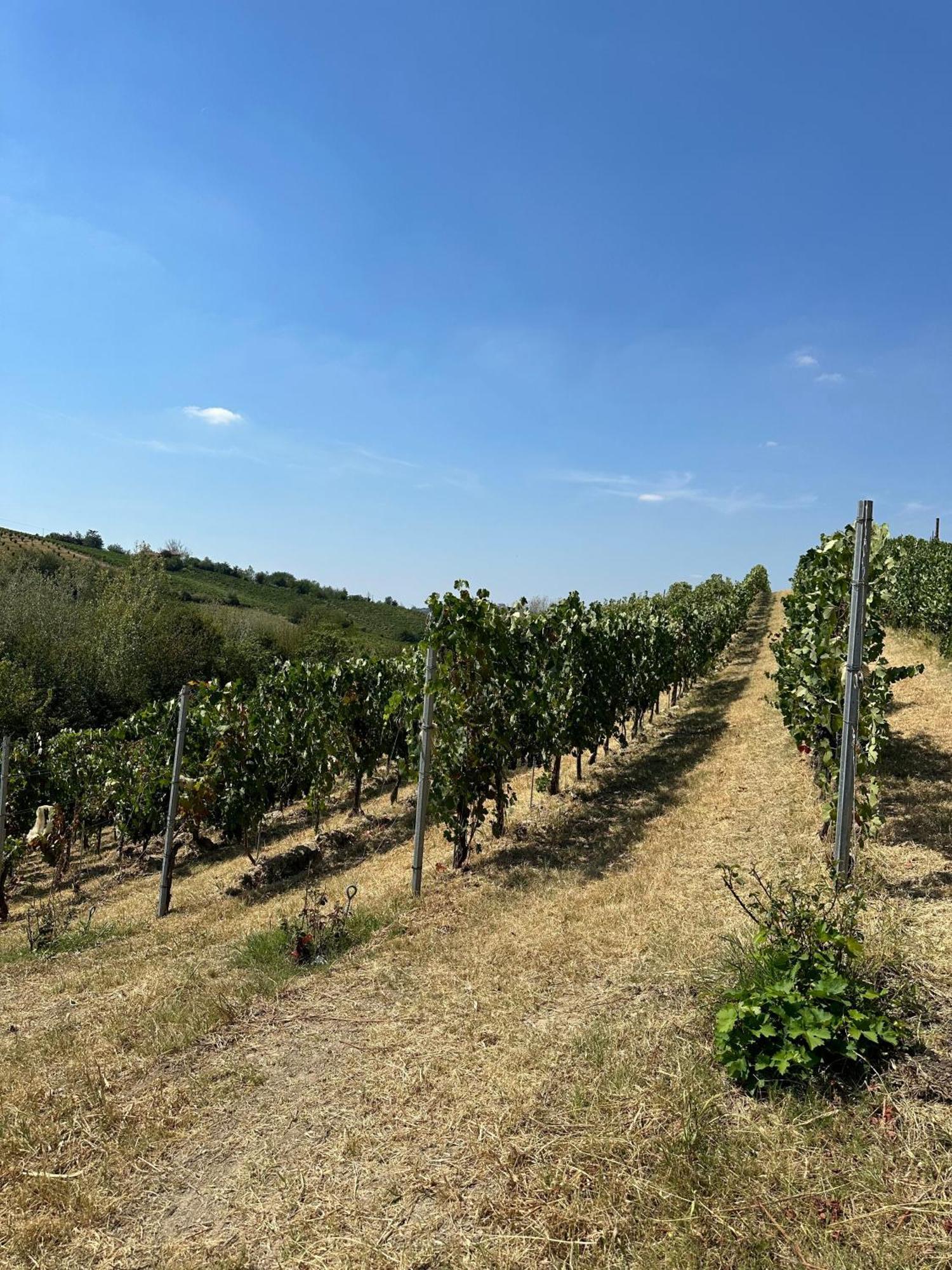 Cadgal - Tenuta La Cova Calamandrana Exterior photo